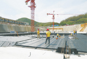 某部經濟適用房防水工程施工